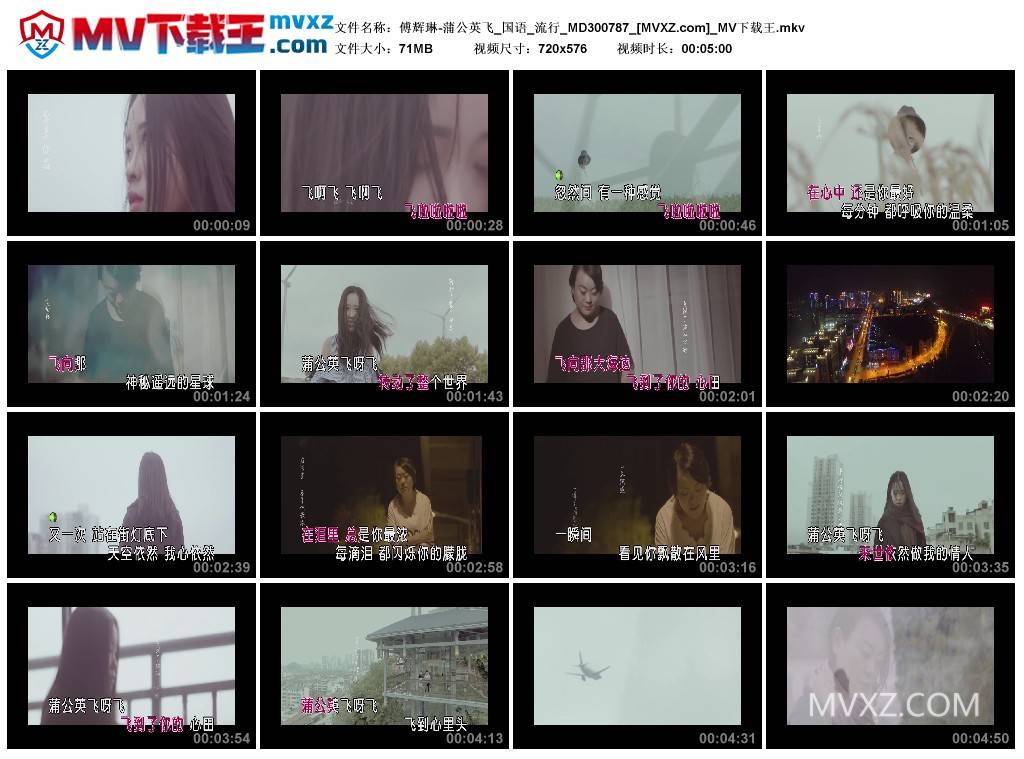傅辉琳-蒲公英飞_国语_流行_MD300787